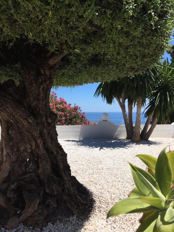 Bed and Breakfast Casa Capricornio Marbella Exterior foto