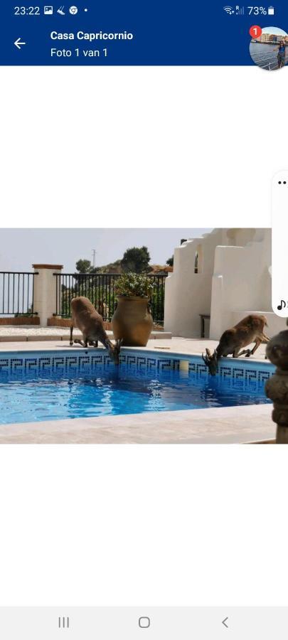 Bed and Breakfast Casa Capricornio Marbella Exterior foto